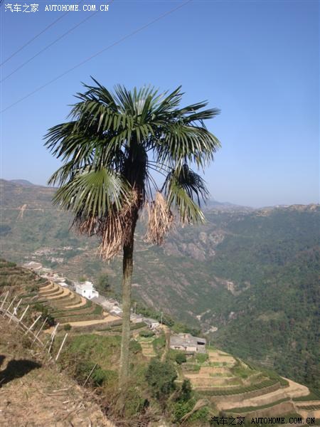 【图】将自驾进行到底---厦门淡溪村。多图杀猫