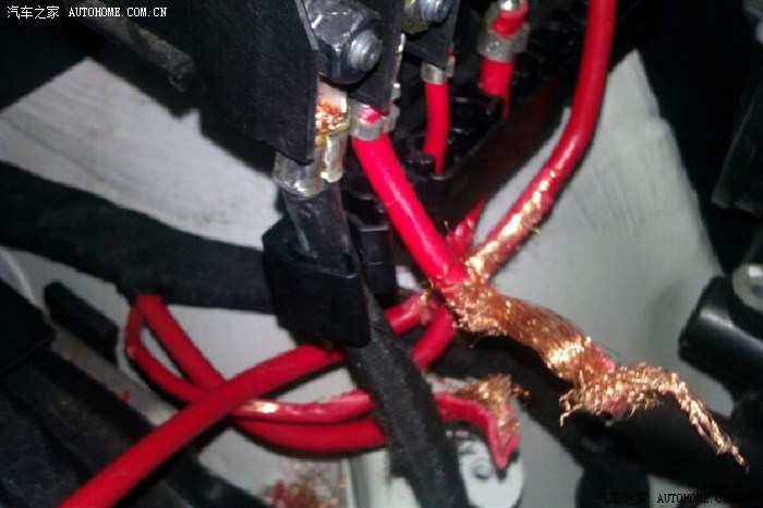 【图】大问题了,车里线路被老鼠咬了,大家帮我