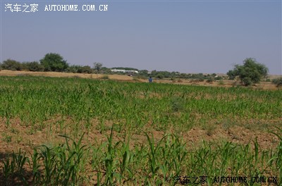 巴基斯坦游记11月29日更新吃、喝、拉、撒、