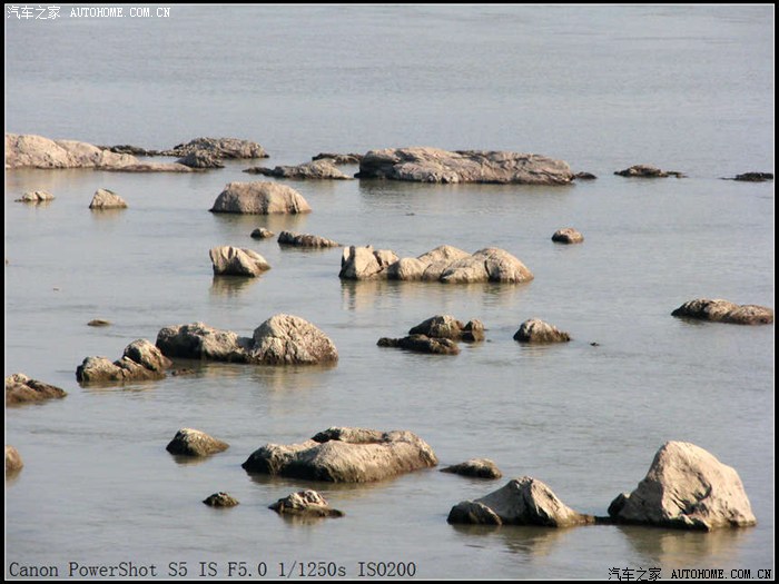 【图】黄石十大美景之一--阳新网湖游记