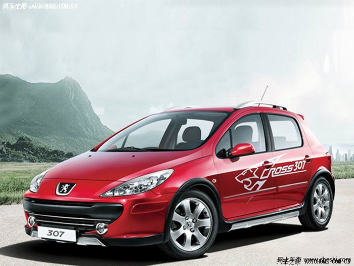 【图】聪明人的游戏-从车牌号看307小狮子的秘