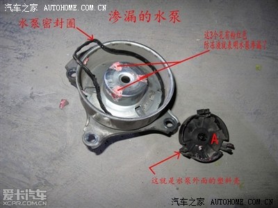 水泵漏水还是渗水?_卡罗拉论坛_手机汽车之家