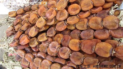 【出差@禄劝】红色教育基地、金色走廊、丰收