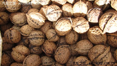 【出差@禄劝】红色教育基地、金色走廊、丰收