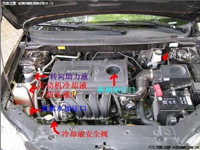 【图】发一张帝豪发动机仓图,新手能用的着_帝