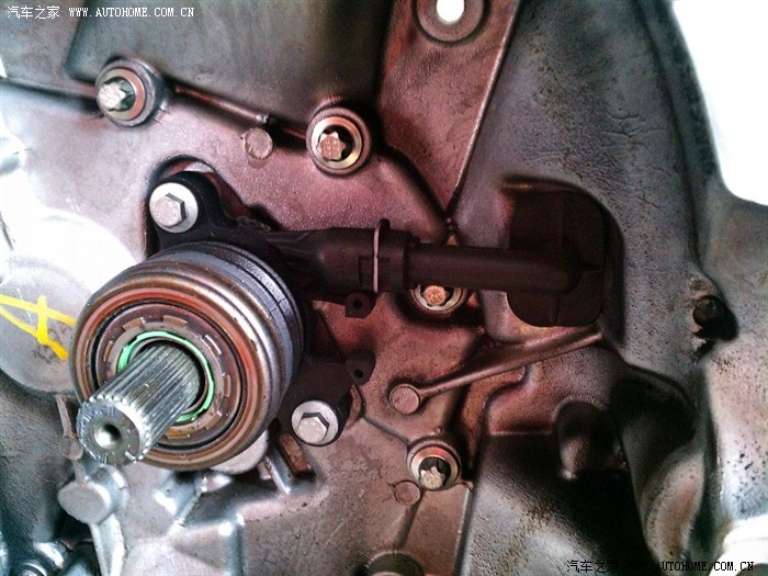 经历5个小时的大手术--爽了