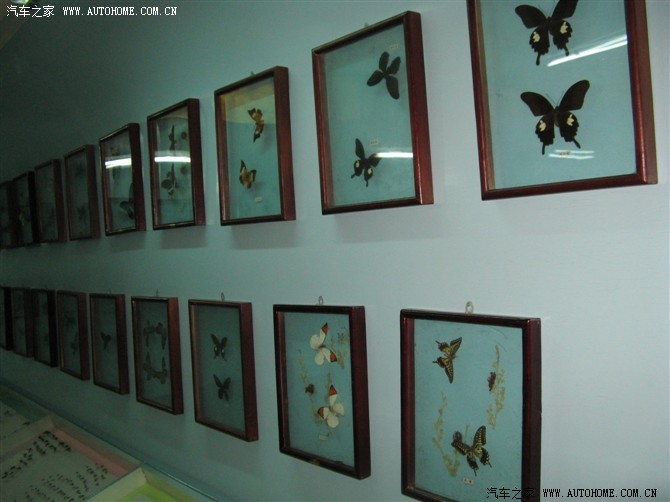 【图】广东省韶关奇瑞4S始兴车八岭自驾游(后