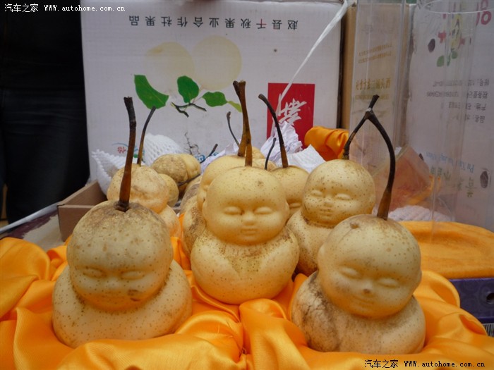 河北邯郸魏县梨花节游玩带图_马自达2_长安马