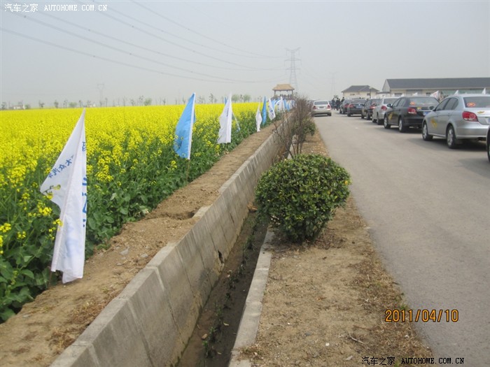 【图】2011吴江平望新创大众4S店春天里的花