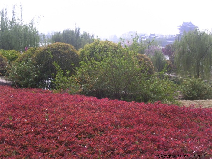 【图】泰州游记 之 泰州桃园一日游 ~