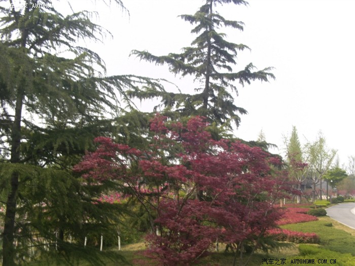 【图】泰州游记 之 泰州桃园一日游 ~