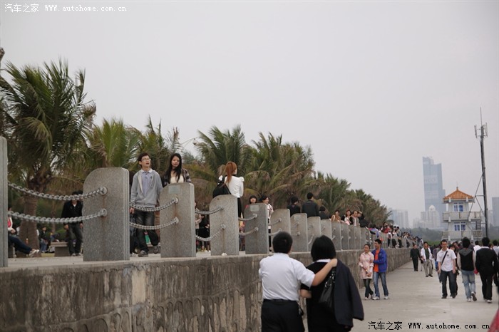 【图】深圳无聊开车去兜风找美女,深圳红树林