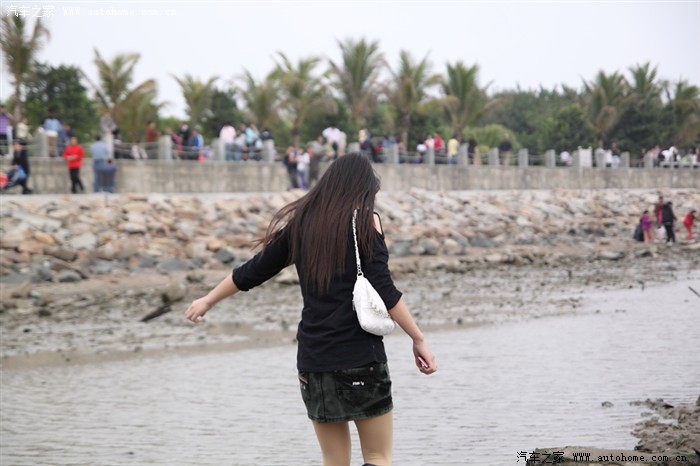 【图】深圳无聊开车去兜风找美女,深圳红树林