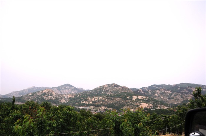 【图】迟到的11年天宝摘樱桃