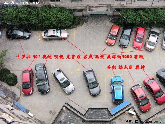 【图】停车场俯视 明锐与各车比较大小长短