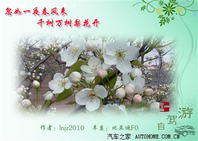 【五一自驾游】忽如一夜春风来,千树万树梨花开.