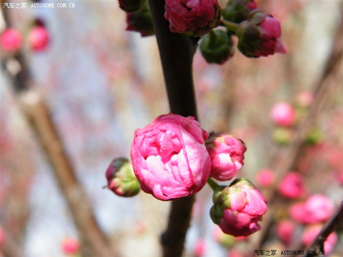 【图】五一小长假抓紧时间自驾游_狮跑论坛_