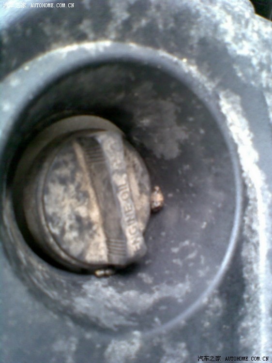 【图】怎么防止老鼠跑到发动机仓呀_长城C20