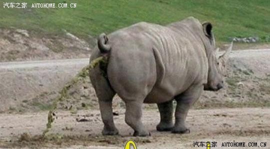 【图】懒牛懒马屎尿多_马自达6论坛_汽车之家论坛