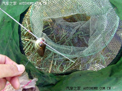 我和小雅去钓鱼(看帖回帖送鱼吃)图片