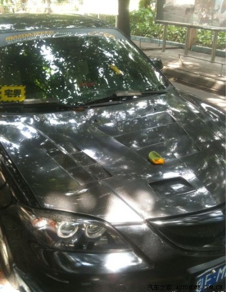 【图】~又到芒果成熟时~大家千万别把小马放