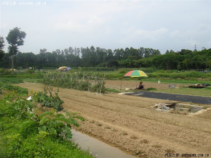 深圳观澜牛湖版画村周末游