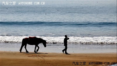 看似孤独的牵马人,其实一点都不孤独,这些马是让游客骑了赚钱的,一