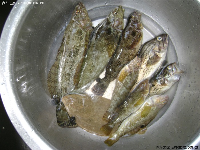 开着夏利去钓鱼--路亚篇