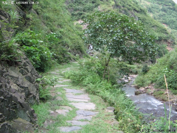 快乐自驾游——湘潭铜梁山顶峰村溯溪、爬山、露营两日游活动