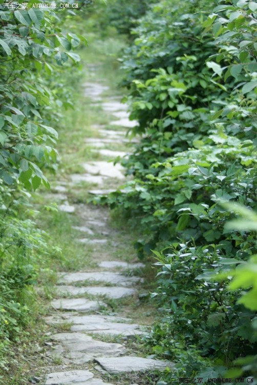 快乐自驾游——湘潭铜梁山顶峰村溯溪、爬山、露营两日游活动