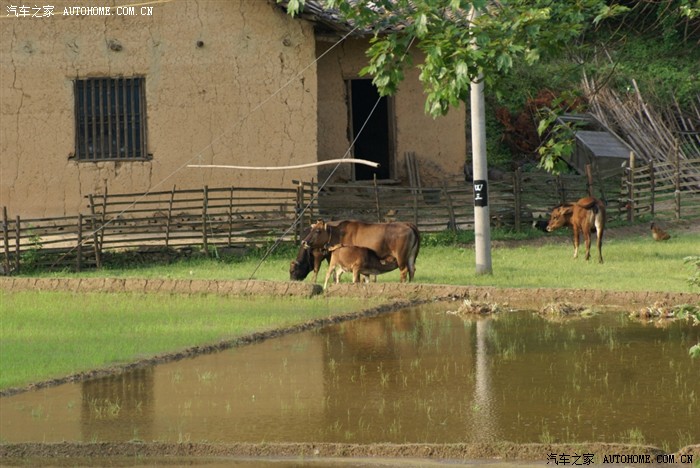 快乐自驾游——湘潭铜梁山顶峰村溯溪、爬山、露营两日游活动