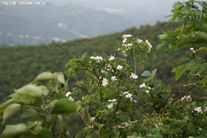 快乐自驾游——湘潭铜梁山顶峰村溯溪、爬山、露营两日游活动