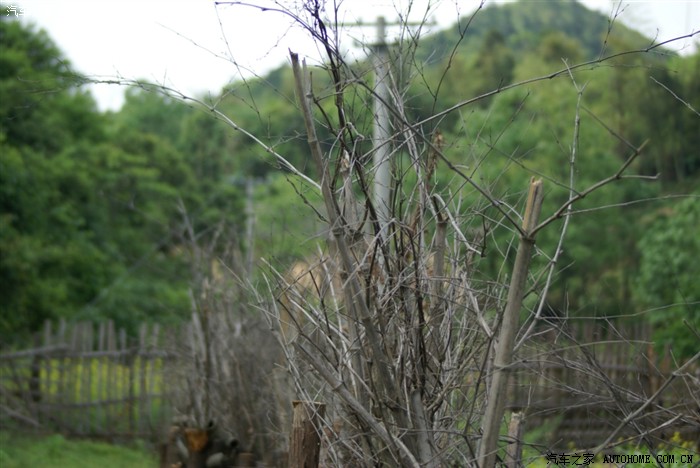 快乐自驾游——湘潭铜梁山顶峰村溯溪、爬山、露营两日游活动