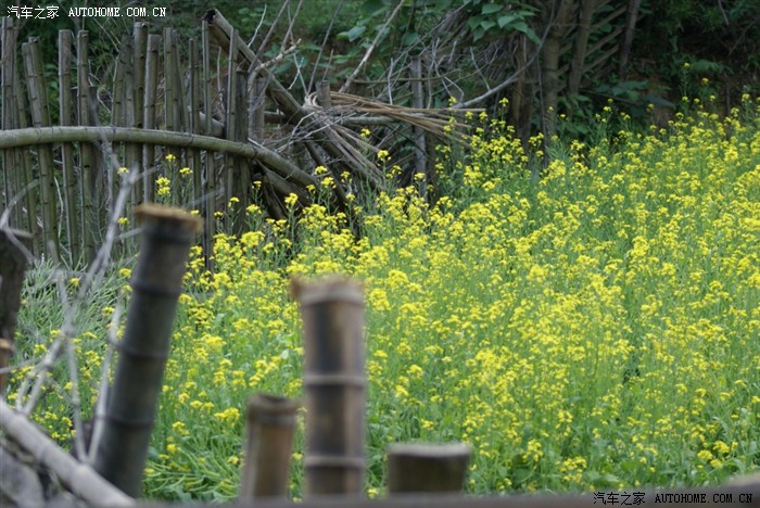 快乐自驾游——湘潭铜梁山顶峰村溯溪、爬山、露营两日游活动