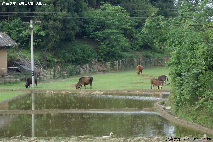 快乐自驾游——湘潭铜梁山顶峰村溯溪、爬山、露营两日游活动