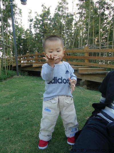 旅游帖苏杭游、竹山游、世博、周庄游、日照游