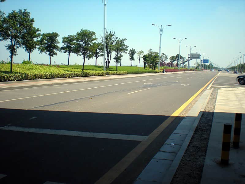 洞庭湖大桥下洞庭湖大桥君山挂口旅游路路边的荷花