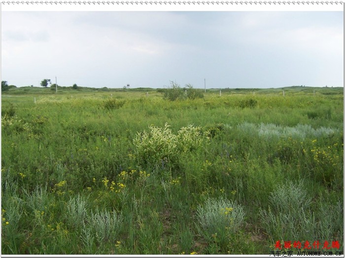 【图】克什克腾草原自驾游_RIO锐欧论坛_汽车