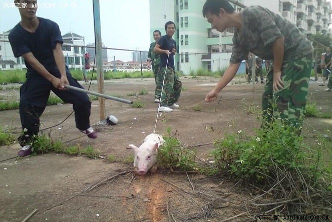 【图】老子曰:天之道,利而不害,人之道,为而不