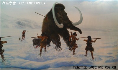 原始人捕猎剑齿象.