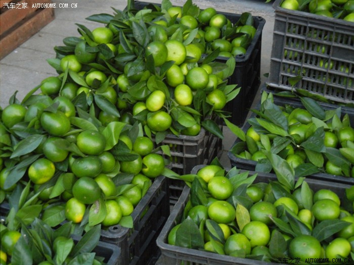 【图】避暑的好地方---龙岩洋畲村,在山上住宿