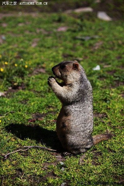 xc60行走在世界上最烂的莫斯卡路上_沃尔沃X