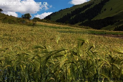 xc60行走在世界上最烂的莫斯卡路上_沃尔沃X