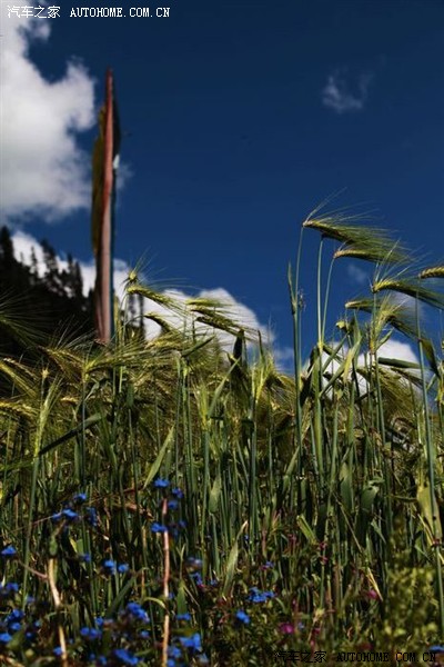 xc60行走在世界上最烂的莫斯卡路上_沃尔沃X