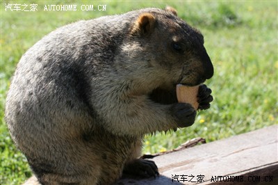 xc60行走在世界上最烂的莫斯卡路上_沃尔沃X