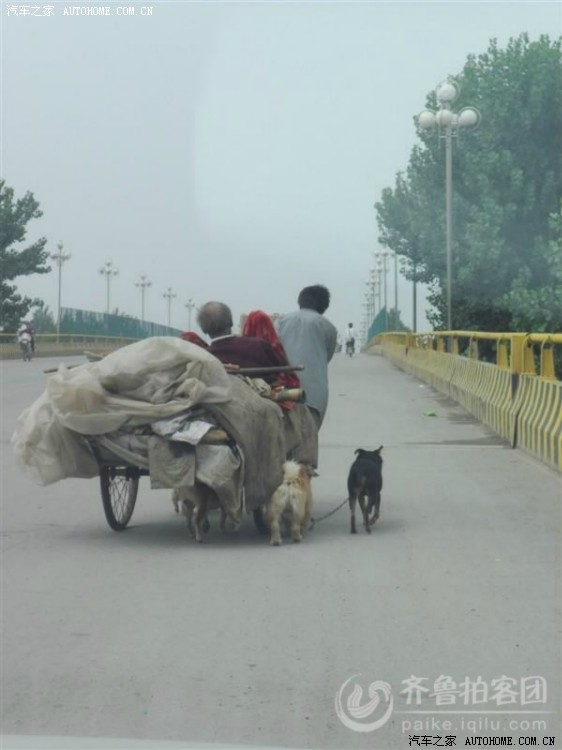 【图】郓城最穷孝子千里蹬车送父就医 小狗帮