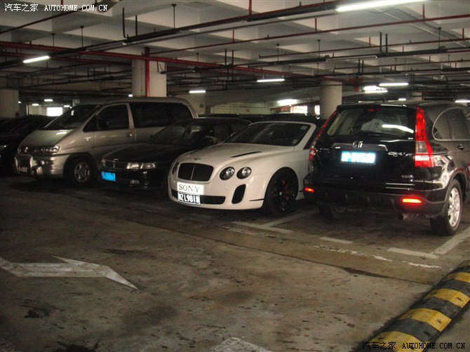 【图】前些天去香港,在罗湖口岸停车厂,见到牛