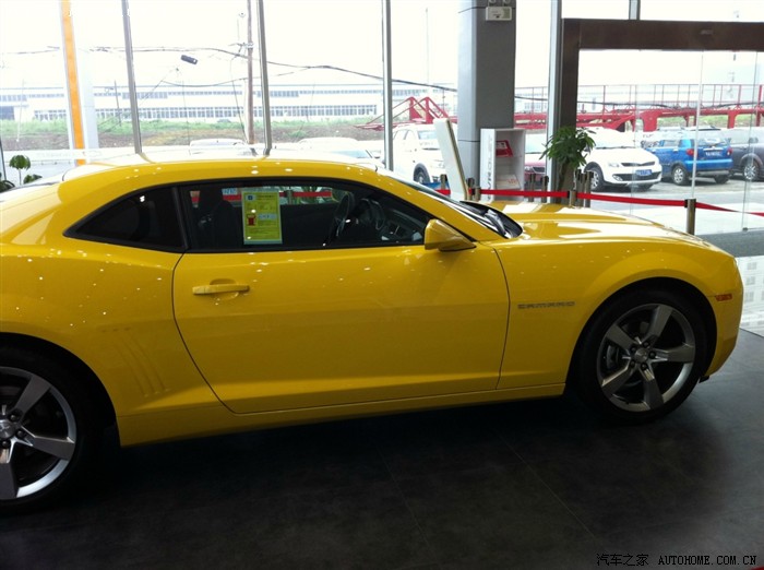 【图】感悟大黄蜂_科鲁兹论坛_汽车之家论坛