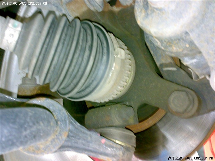 【图】悲剧的小橙子感冒啦~冷的浑身发抖~去