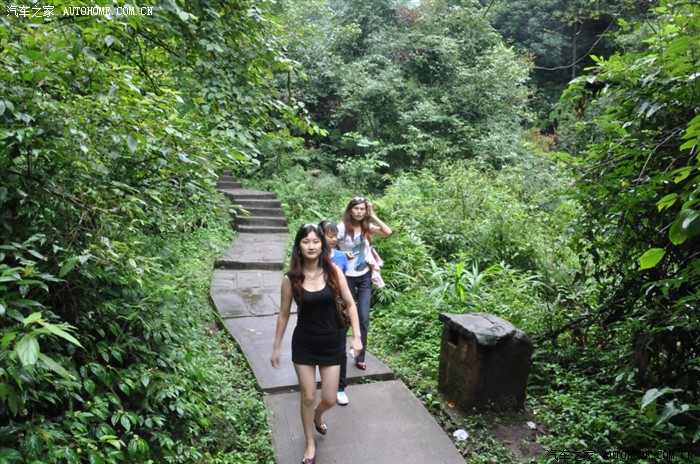 【图】行走的印迹 : 雅安碧峰峡景区,周公山泡温